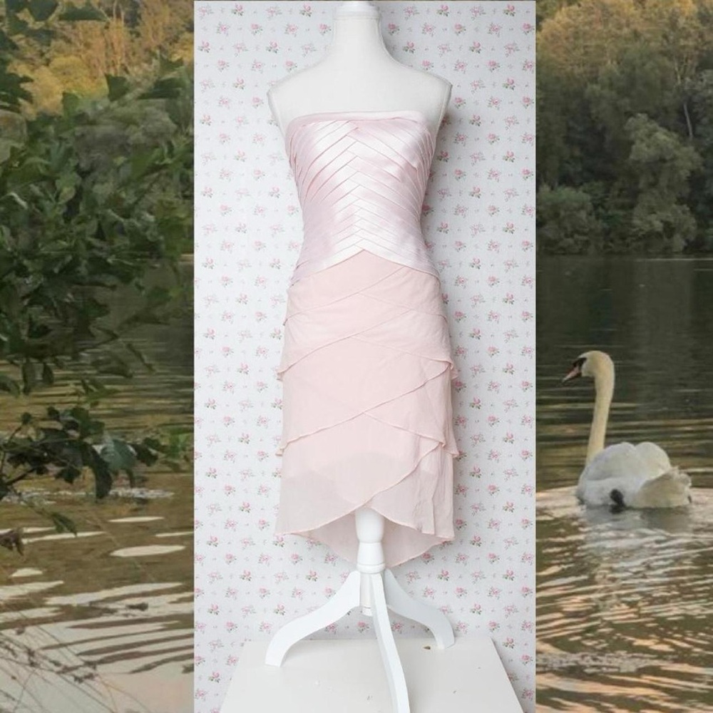 Elegant Pink silk Strapless Dress